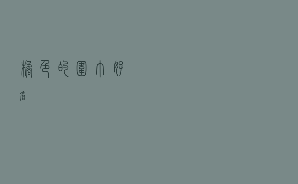 橘色的围巾好看