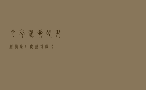 今年流行的羽绒服是什么款式图片