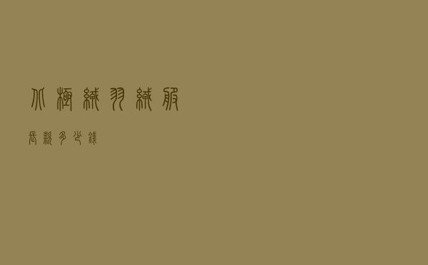 北极绒羽绒服长款多少钱