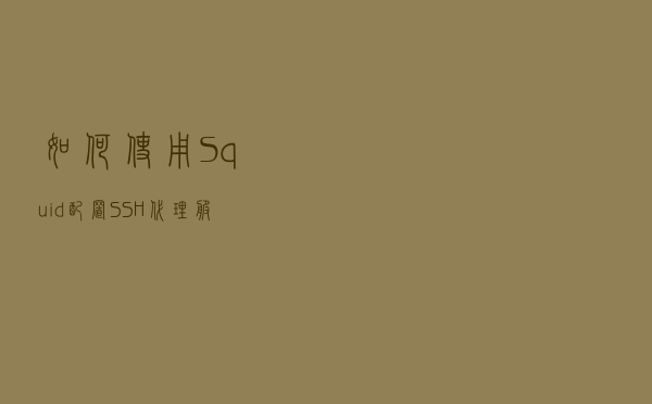如何使用 Squid 配置 SSH 代理服务器