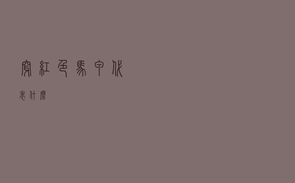 穿红色马甲代表什么