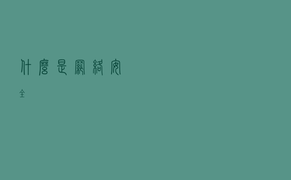 什么是网络安全？