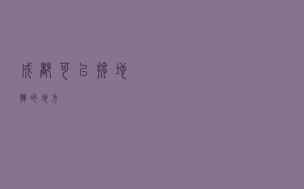 成都可以摆地摊的地方