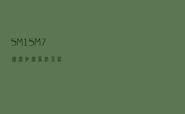 SM1~SM7 国密加密算法介绍