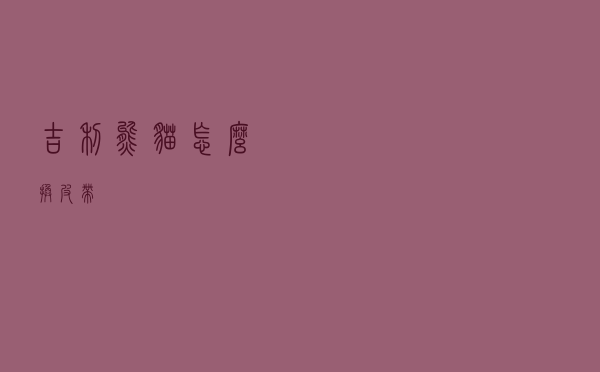 吉利熊猫怎么换皮带