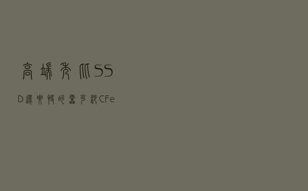 高端秀：比SSD还要快的雷克沙CFexpress存储卡