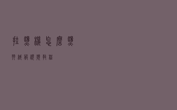 挂烫机怎么烫羽绒服视频教程