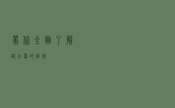 带你全面了解路由器的作用