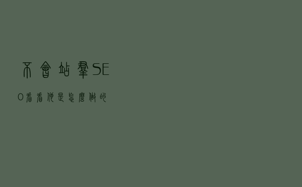 不会站群SEO？看看他是怎么做的！