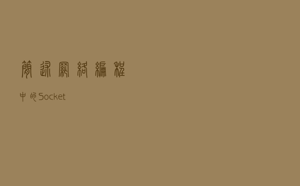 简述网络编程中的Socket