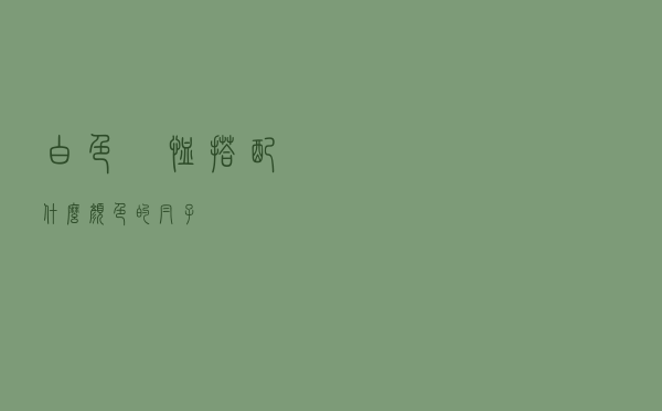 白色丅恤搭配什么颜色的帽子
