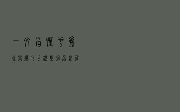 一文看懂华为和荣耀的手机型号，原来藏着这么多秘密