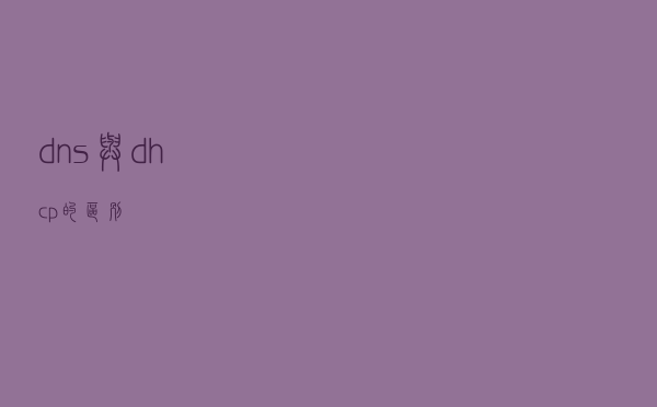 dns与 dhcp的区别