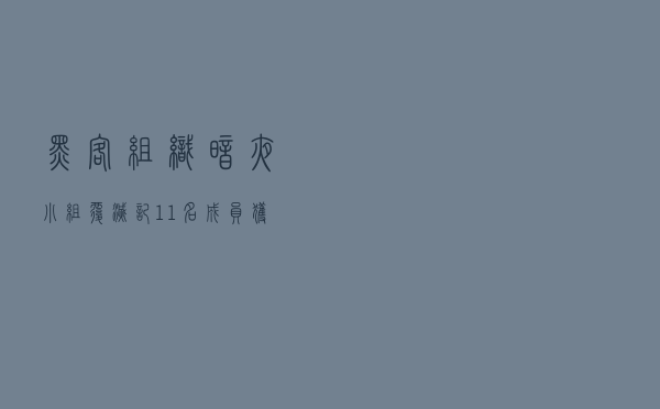 黑客组织“暗夜小组”覆灭记:11名成员获刑