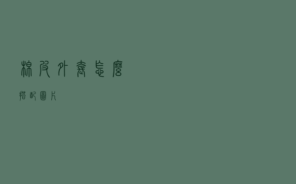 棉皮外套怎么搭配图片