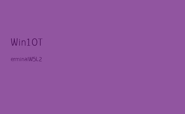 Win10 Terminal + WSL 2 安装配置指南