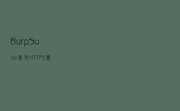 BurpSuite抓取HTTPS数据包