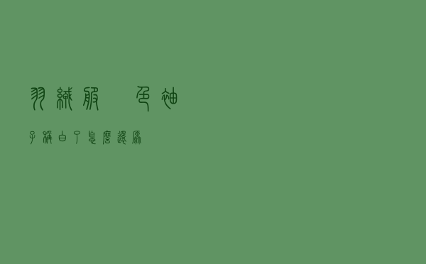 羽绒服黒色袖子称白了怎么还原