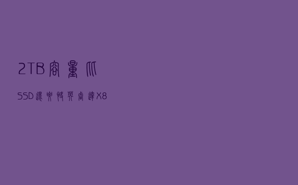 2TB容量！比SSD还要快：英睿达X8移动固态硬盘测试