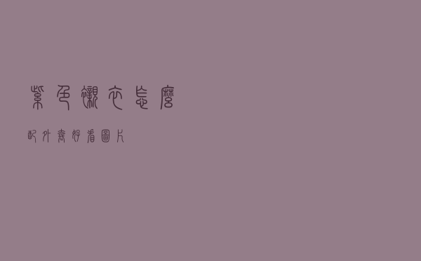 紫色衬衣怎么配外套好看图片