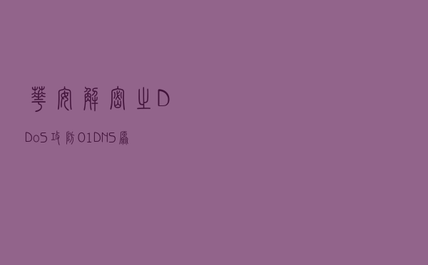 「华安解密之DDoS攻防」01 DNS原理篇“暴风”事件解密