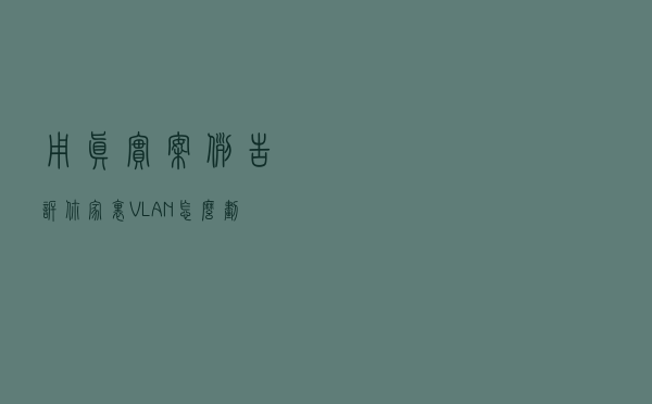 用真实案例告诉你家里 VLAN 怎么划