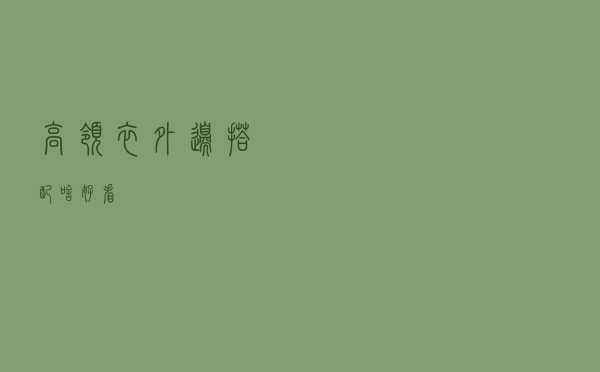 高领衣外边搭配啥好看