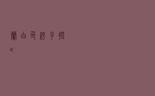 兰白色裤子搭配