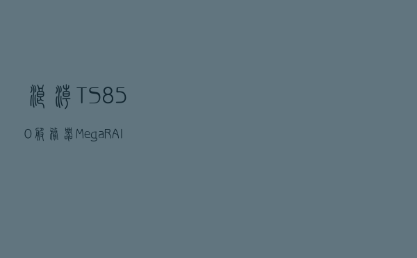 浪潮TS850服务器，MegaRAID卡，如何做RAID?