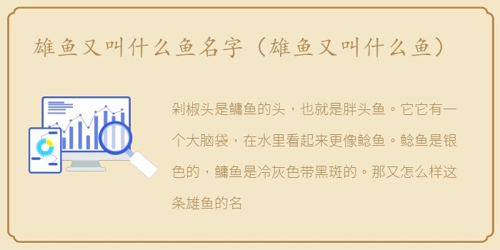 雄鱼又叫什么鱼名字（雄鱼又叫什么鱼）