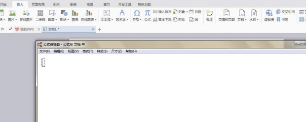 wps公式编辑器怎么打出空集？（wps公式编辑器怎么用）