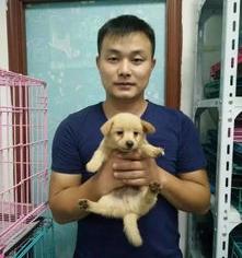 流浪狗救助中心怎么申请？ 附近流浪狗收养中心