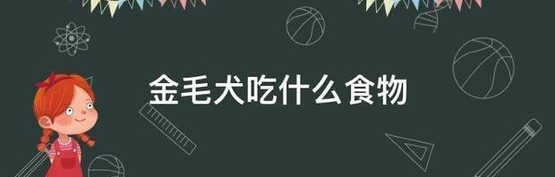 金毛吃什么主食比较好？（金毛犬吃什么食物最好）