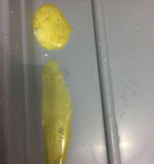 成年狗吐黄水带沫怎么办？（狗狗吐了黄黄粘稠液体）