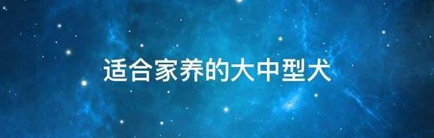 适合家养的中型犬排名前十名？ 中型犬适合家养的狗