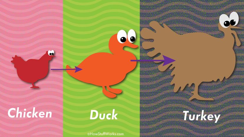 Turducken 如何成为终极感恩节三重奏