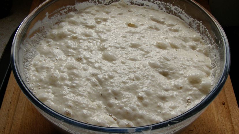 你永远永远都不会停止制作酵母面包