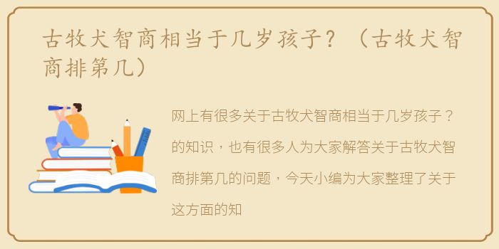 古牧犬智商相当于几岁孩子？（古牧犬智商排第几）