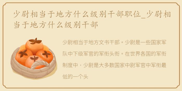 少尉相当于地方什么级别干部职位_少尉相当于地方什么级别干部