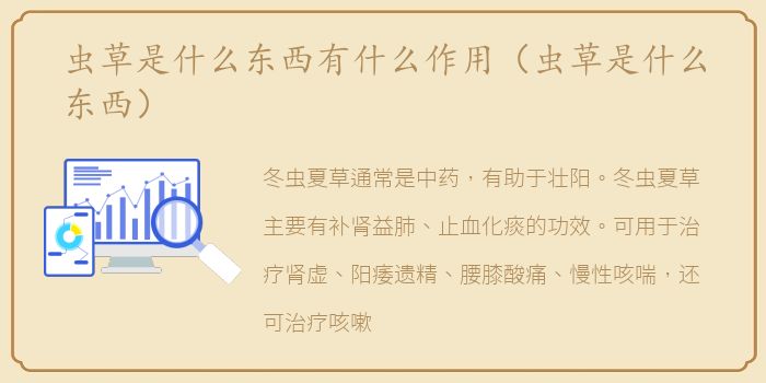 虫草是什么东西有什么作用（虫草是什么东西）