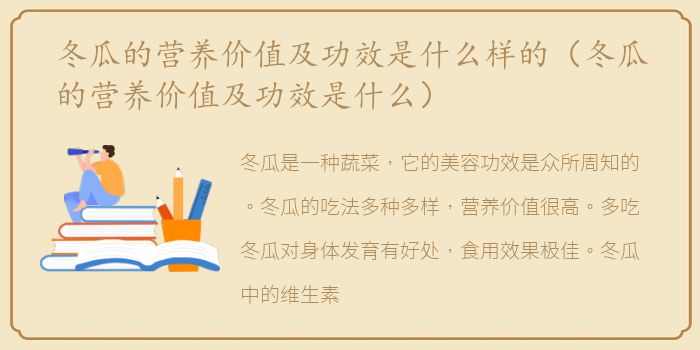 冬瓜的营养价值及功效是什么样的（冬瓜的营养价值及功效是什么）