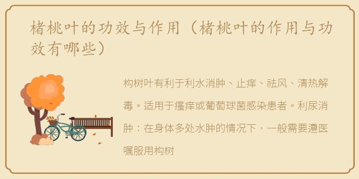 楮桃叶的功效与作用（楮桃叶的作用与功效有哪些）