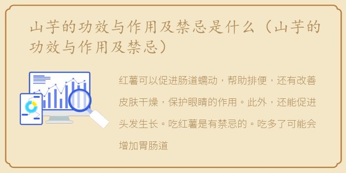 山芋的功效与作用及禁忌是什么（山芋的功效与作用及禁忌）