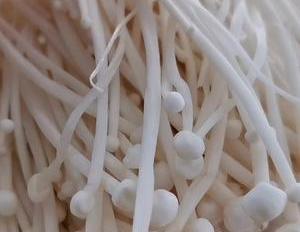 一把金针菇加3个鸡蛋,只用油和盐,方法简单美味又下饭