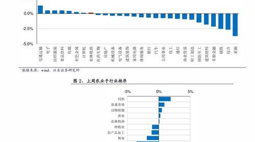 2021最火宠物品种？（宠物狗的品种及价格表）