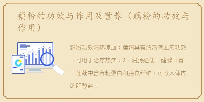 藕粉的功效与作用及营养（藕粉的功效与作用）