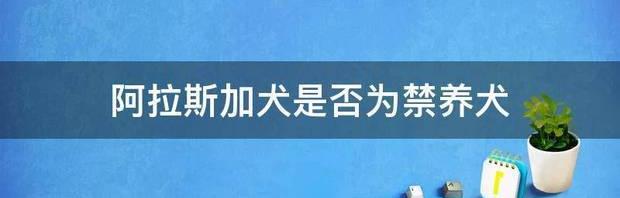 阿拉斯加犬夏天可以吃冰块吗？ 养阿拉斯加的坏处