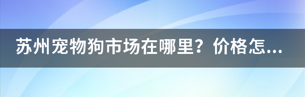 发展宠物犬养殖前景如何？ 宠物狗市场