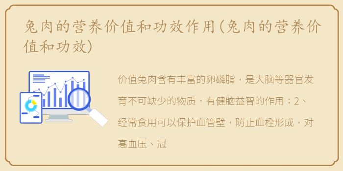兔肉的营养价值和功效作用(兔肉的营养价值和功效)