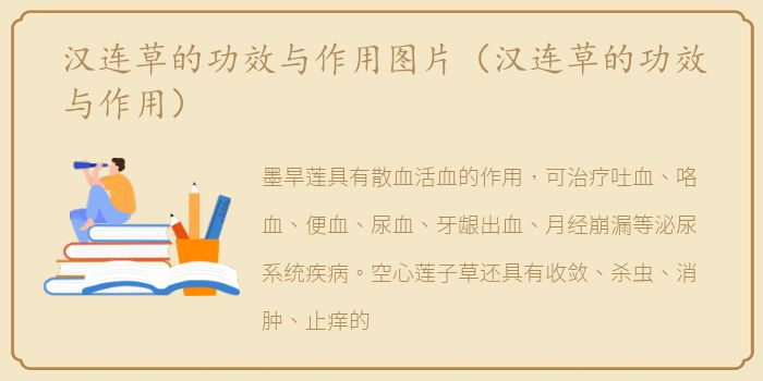 汉连草的功效与作用图片（汉连草的功效与作用）